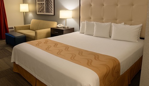 Deluxe Room, 1 King Bed with Sofa bed, Non Smoking