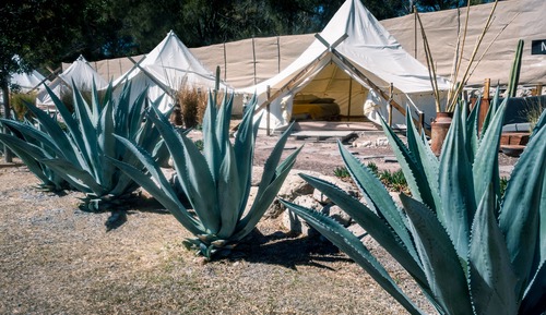 Deluxe Tent