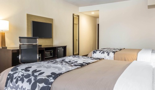 Room, 2 Queen Beds, Accessible