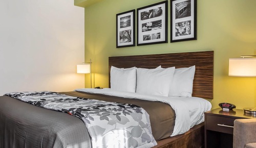 Standard Room, 1 King Bed, Non Smoking