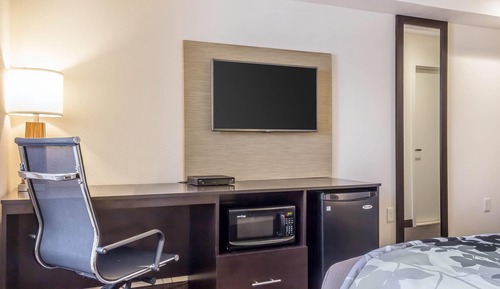 Room, 1 King Bed, Non Smoking