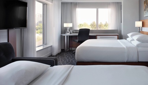 Room, 1 King Bed with Sofa bed