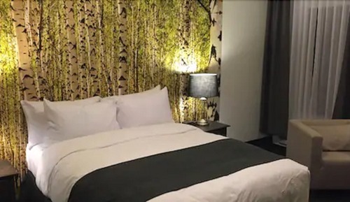 Regular Room, 1 Queen Bed, River Side