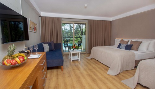 Deluxe Superior Room