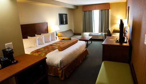 Standard Room, 1 King Bed, Non Smoking, Refrigerator & Microwave (with Sofabed)