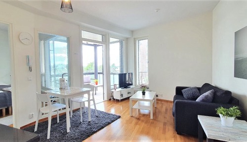 Apartment, 1 Bedroom, Sauna (City Center Area)