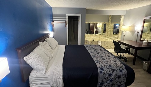 Room, 1 King Bed (with Jacuzzi)