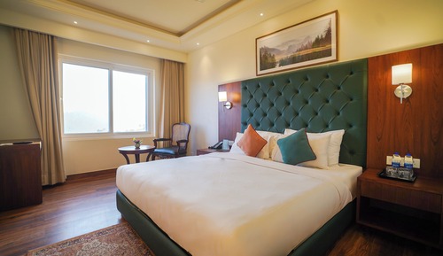 Deluxe Room, 1 Double Bed