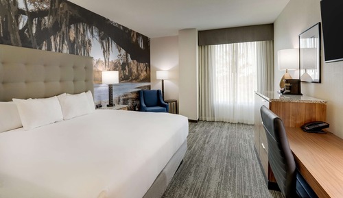 Deluxe Room, 1 King Bed, Refrigerator & Microwave