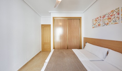 Basic Apartment