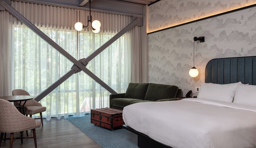 Room, 1 King Bed with Sofa bed