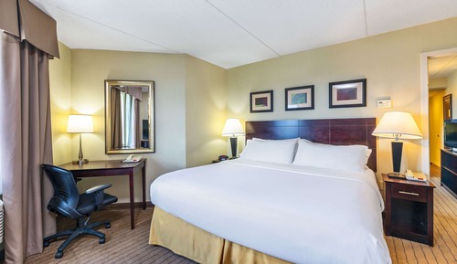 Suite, 1 King Bed with Sofa bed, Non Smoking
