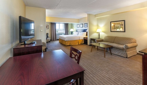 Suite, 1 King Bed with Sofa bed, Non Smoking
