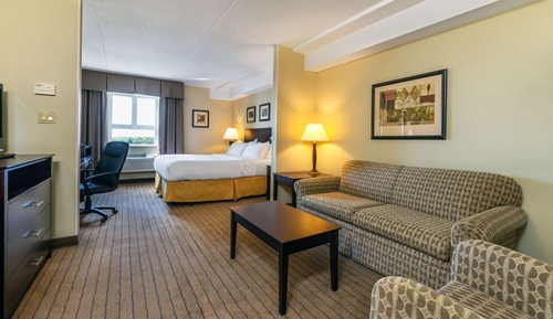 Standard Room, 1 King Bed with Sofa bed, Non Smoking