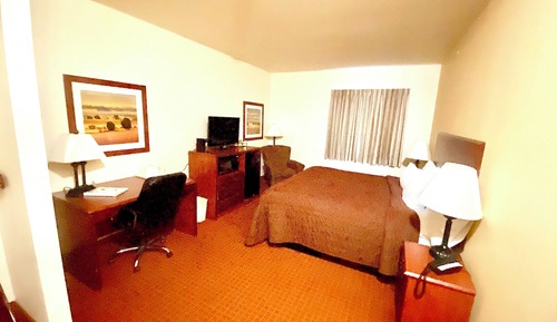 Comfort Single Room