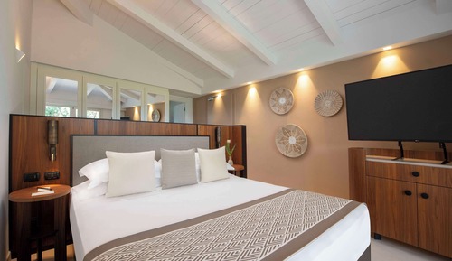 Deluxe Room, 1 King Bed, Accessible