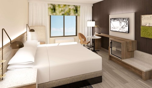 Room, 1 King Bed, Accessible, Non Smoking (Mobility,roll-in shower)