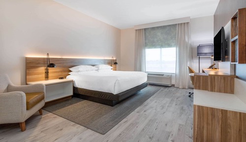 Room, 1 King Bed, Accessible, Non Smoking (Mobility,tub w grab bars)