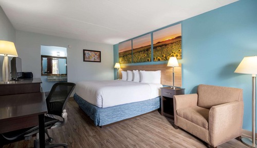 Room, 1 King Bed, Smoking