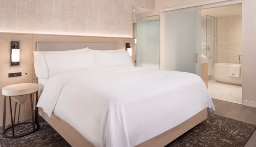 Executive Suite, 1 King Bed with Sofa bed