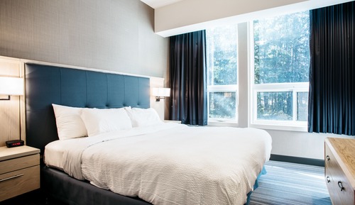 King Family Suite with Fireplace - Not Pet Friendly