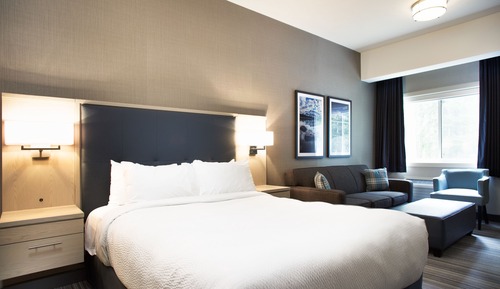 Superior Room, 1 Queen Bed with Sofa bed (Not Pet Friendly)