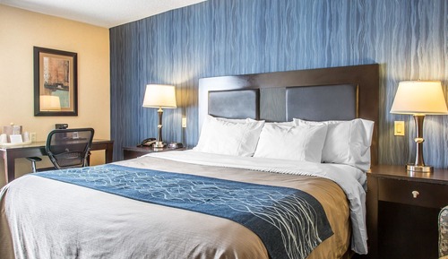 Room, 1 King Bed, Accessible, Non Smoking
