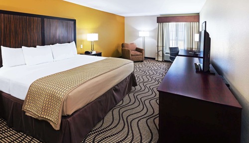 Room, 1 King Bed, Non Smoking