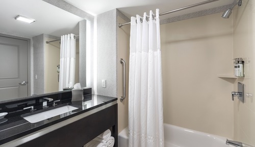 Studio, 1 King Bed with Sofa bed (Mobility/Hearing Accessible, Tub)