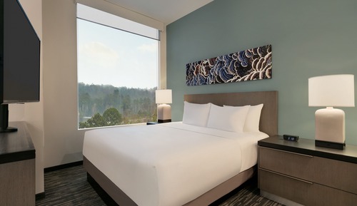 Studio Suite, 1 King Bed with Sofa bed, Accessible, Bathtub (Kitchen, Shower)
