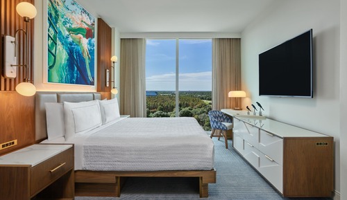 Signature Suite, 1 King Bed with Sofa bed (Mobility/Hearing Access, Transf Shwr)