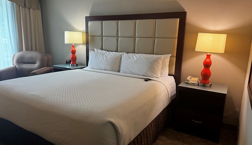 Room, 1 King Bed, Non Smoking