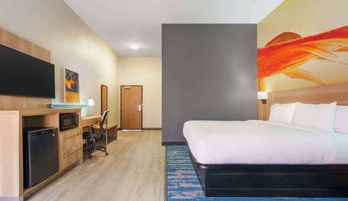 Room, 1 King Bed, Accessible, Non Smoking (Mobility/Hearing, Roll-In Shower)
