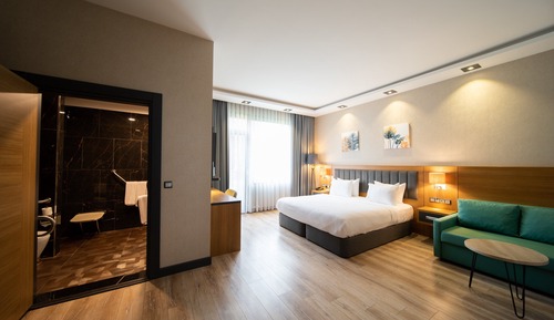 Premium Room, 1 King Bed, Accessible