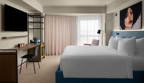 Room, 1 King Bed