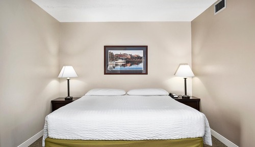 Room, 1 King Bed with Sofa bed (TBDSBV)