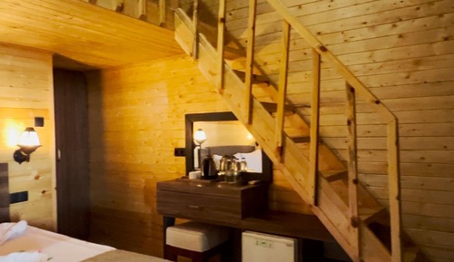 Basic Tree House