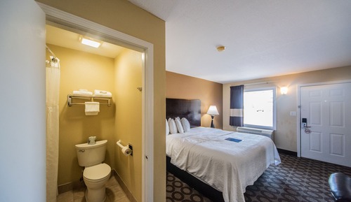 Standard Room, 1 King Bed, Non Smoking (No Pets)