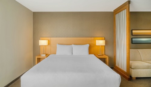 Standard Room, 1 King Bed with Sofa bed