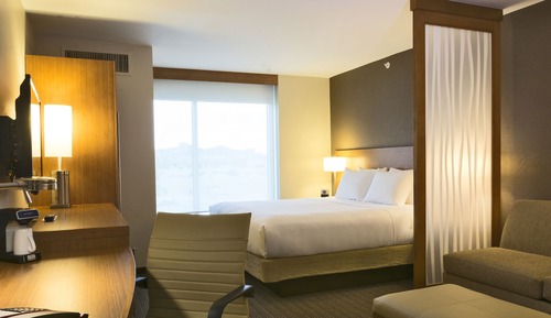 Room, 1 King Bed with Sofa bed (Large)