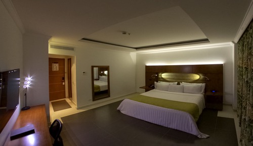 Single Room, 1 King Bed