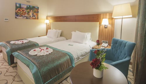 Basic Double or Twin Room