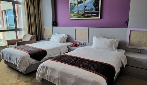 Premium Superior Twin Room