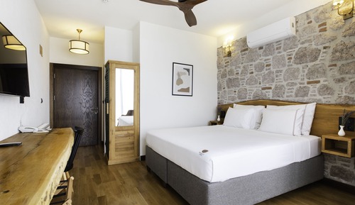 Deluxe Room (with Terrace)