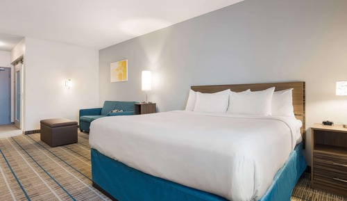 Suite, 1 King Bed with Sofa bed, Non Smoking, Kitchenette (Pet Friendly)