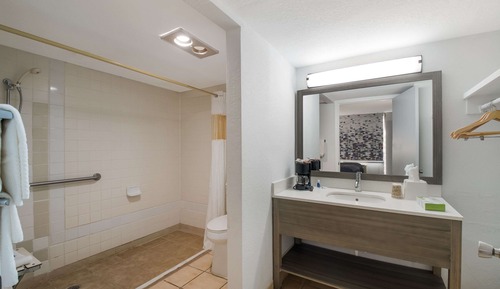 Room, 1 King Bed, Accessible, Non Smoking