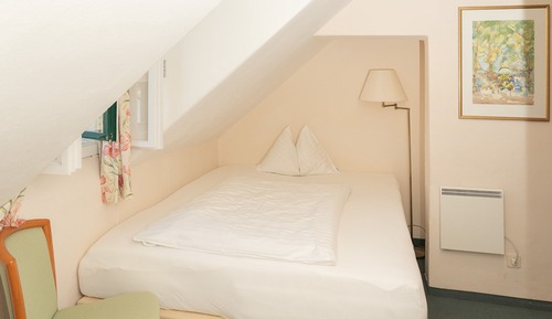 Standard Single Room, 1 Twin Bed, Non Smoking, Garden View