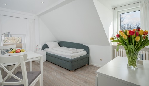 Basic Single Room