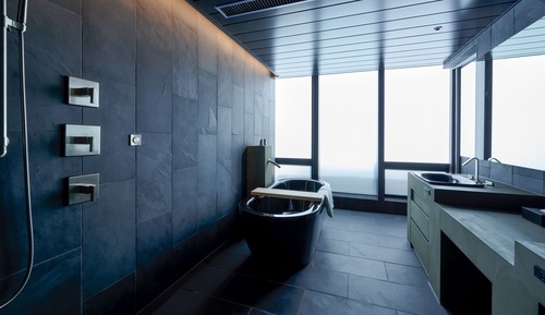 S15 Park Terrace Suite Room