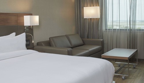 Room, 1 King Bed with Sofa bed, View